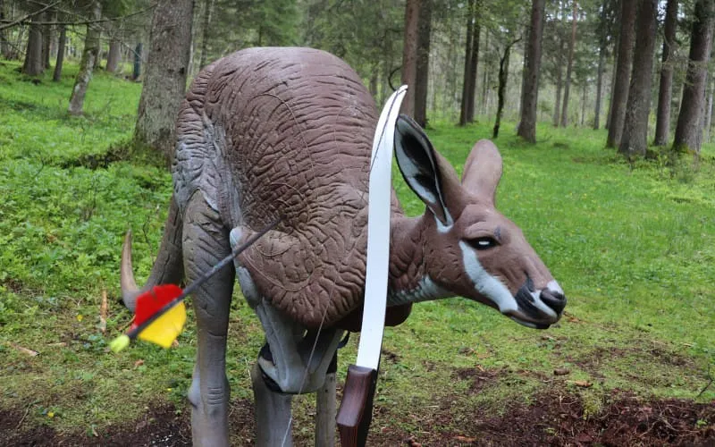 no_kangru_in_austria.jpg